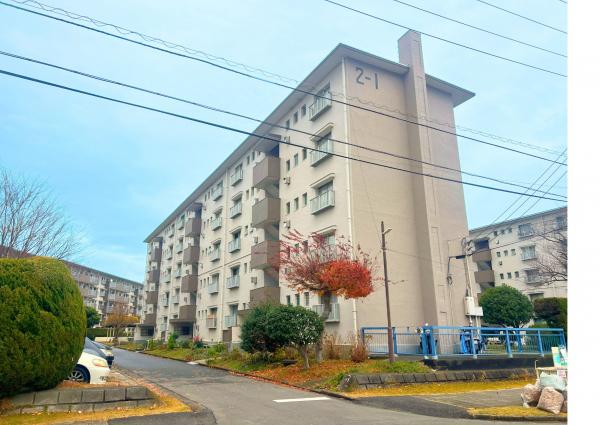 大正団地2街区1号棟203号室